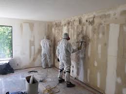 Best Basement Mold Removal  in De Kal, TX